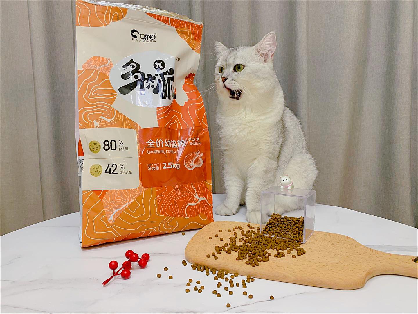 两个月大的小奶猫到底能不能吃成年猫粮？