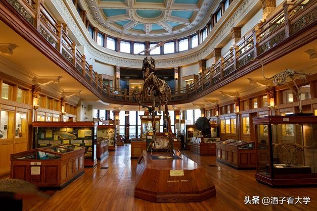 在叶卡捷琳堡留学该去哪里找组织？