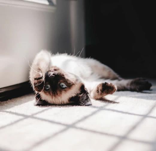 三月十四号到底是个什么神仙日子？