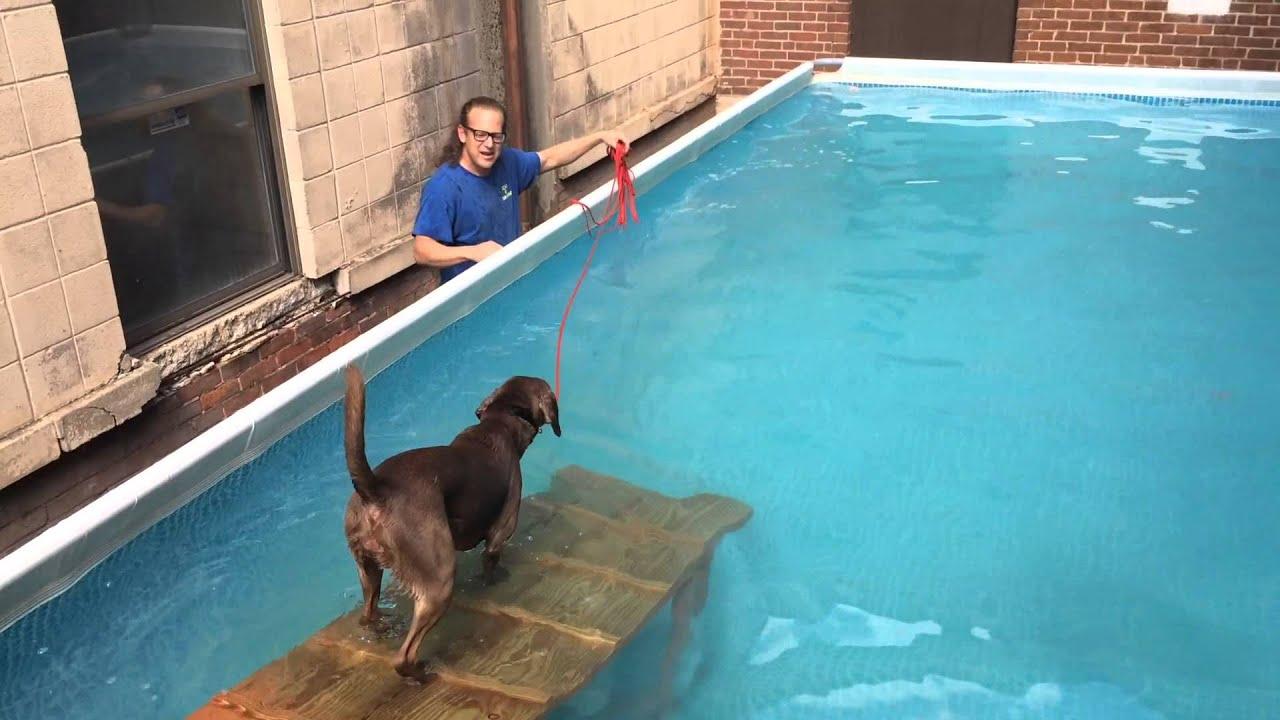 东风本田CRV二手车选购攻略，三大核心问题深度解析，五年车龄值得入手吗？