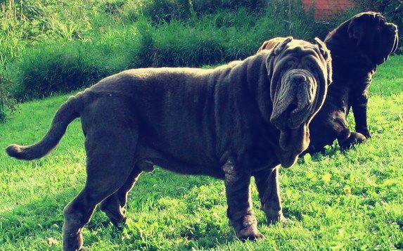 刚接触淇的新手怎样才能不踩坑？