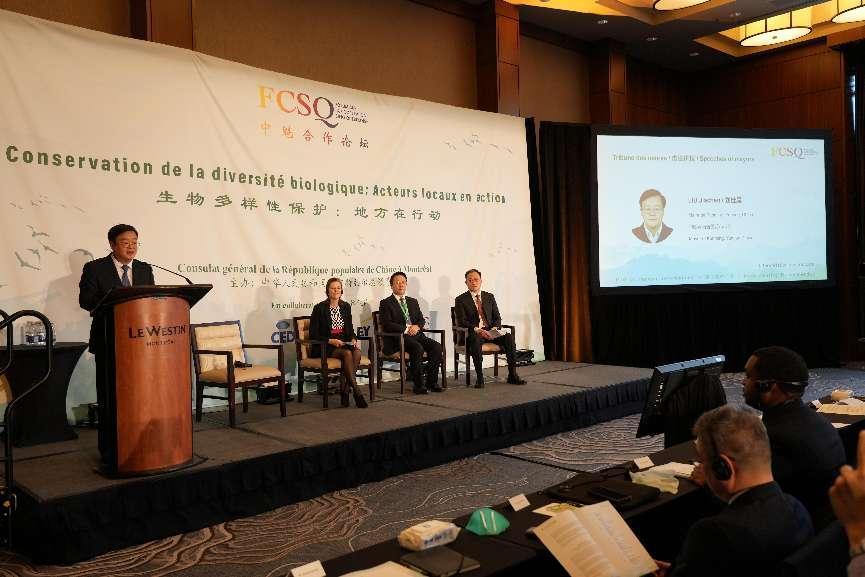 蒙特利尔华人论坛6到底怎么玩?新手必看避坑指南 蒙特利尔华人论坛6到底怎么玩?新手必看避坑指南