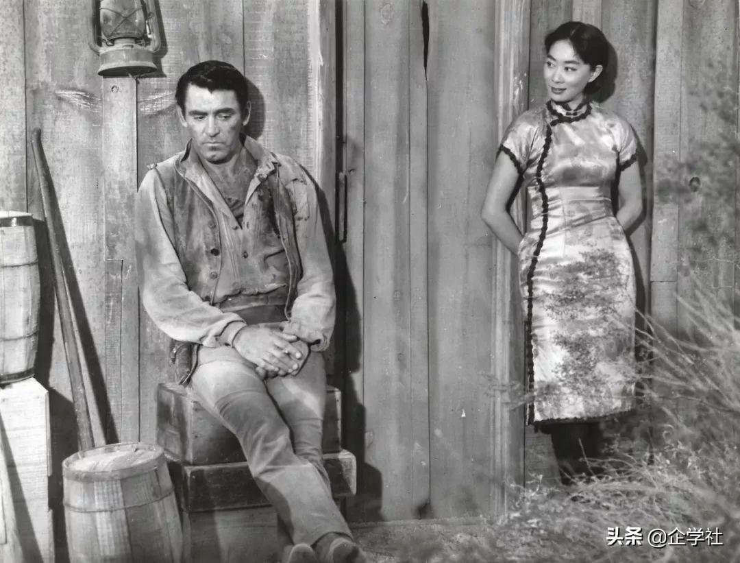 给主子喂虾肉会不会翻车? 给主子喂虾肉会不会翻车?