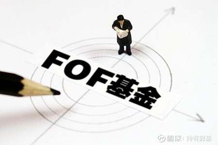 fof基金是什么意思?包含哪些关键信息?看完你就通透了 fof基金是什么意思?包含哪些关键信息?看完你就通透了