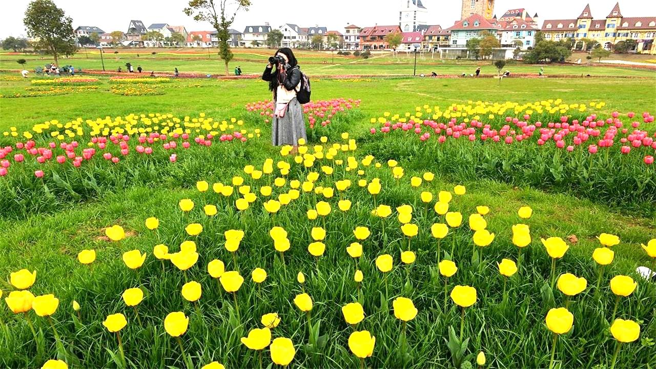 为什么北美华人论坛总有人喊 阿姨 ? 为什么北美华人论坛总有人喊 阿姨 ?