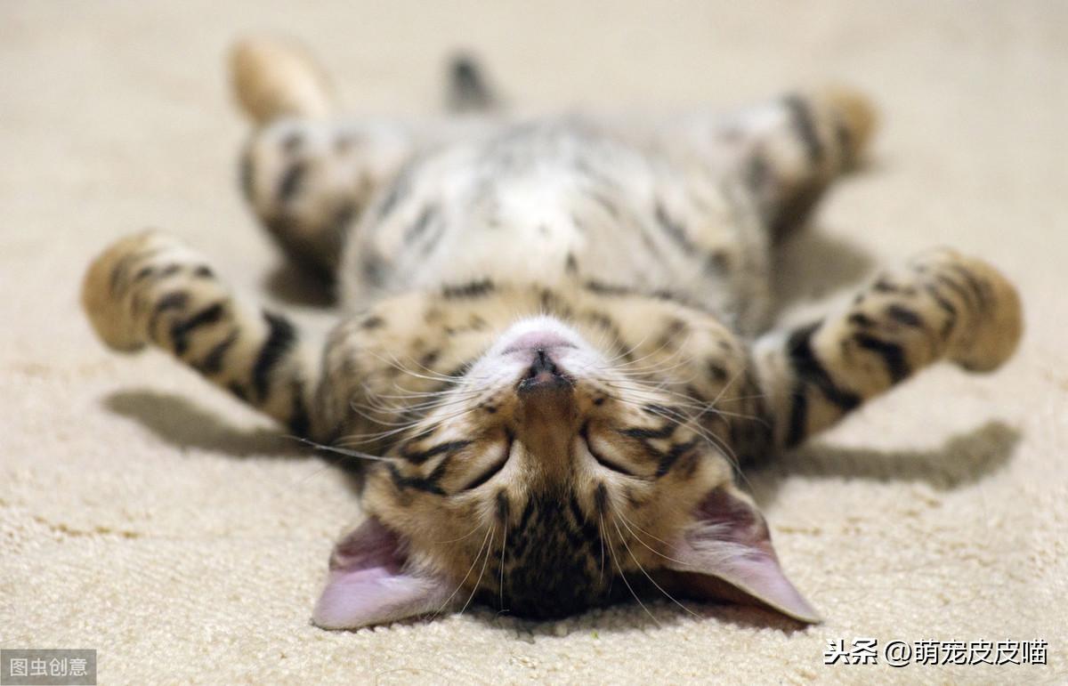 凯迪拉克价格到底贵不贵？新手购车必看避坑指南