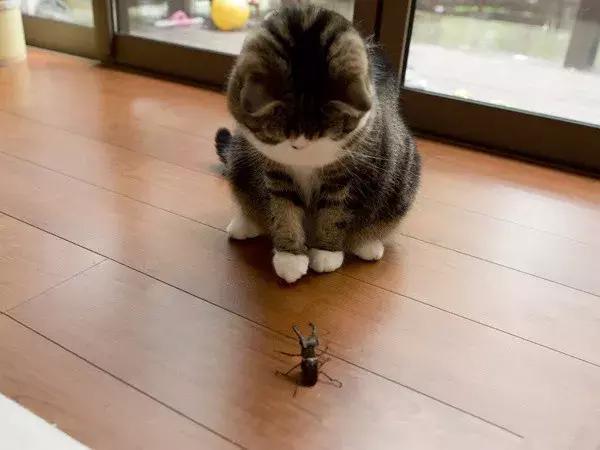 富二代创业能有多炸裂？网友：原来以为是段子，结果玩真的啊！