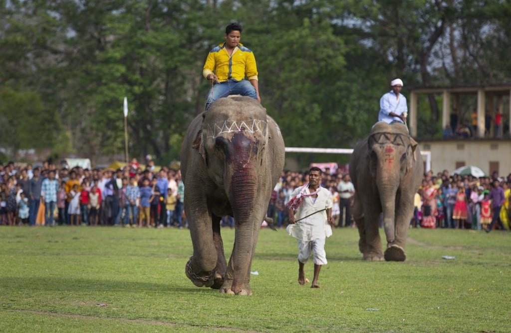 如何在淘宝购物技巧省钱方法