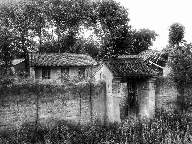 猫咪睡觉睁眼是死透了还是诈尸啊？