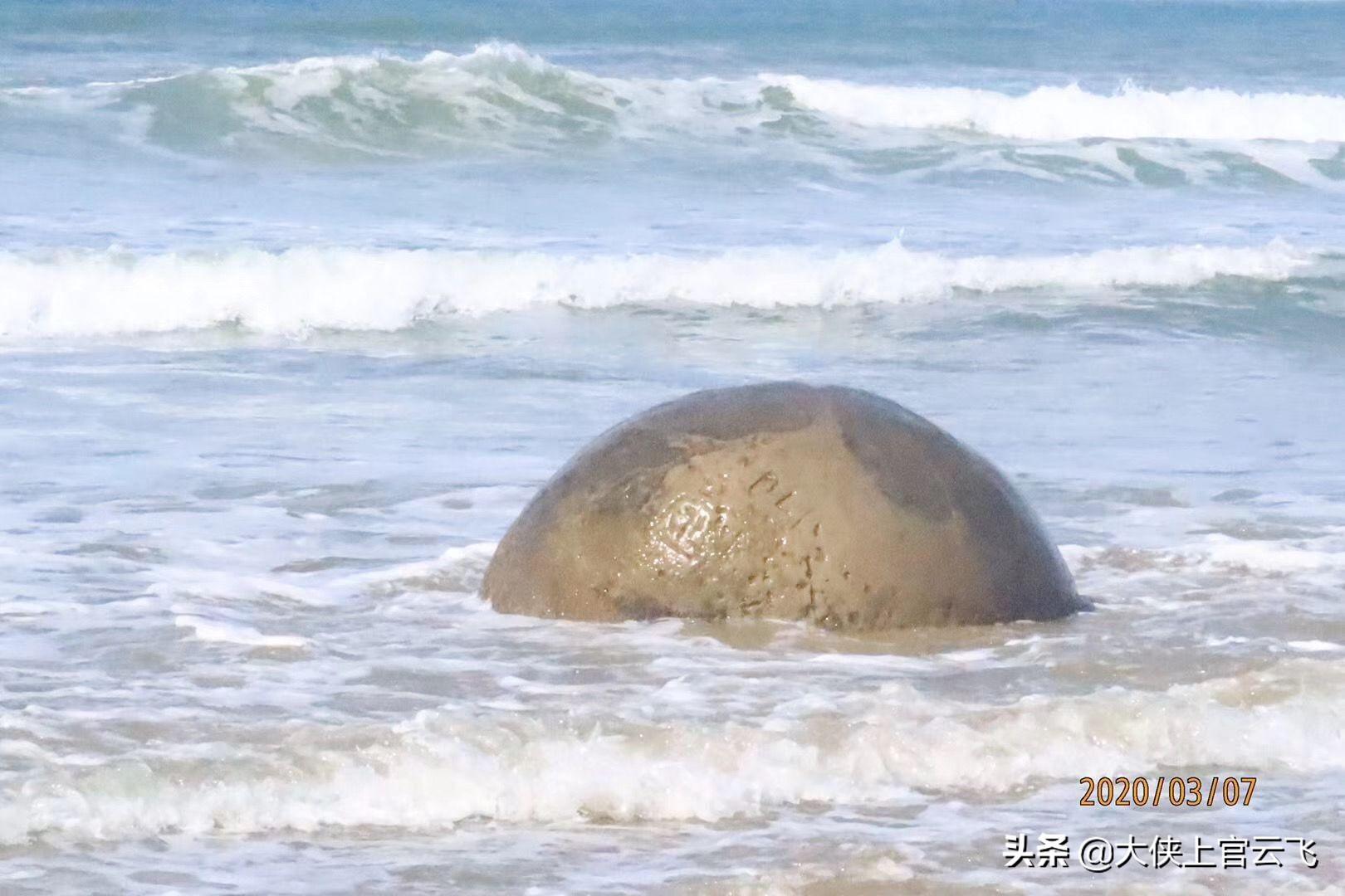 哈飞路宝论坛到底藏着哪些新手不知道的宝藏？