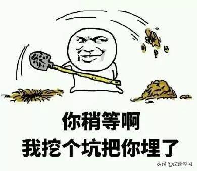 在法国生活不会说法语怎么活？