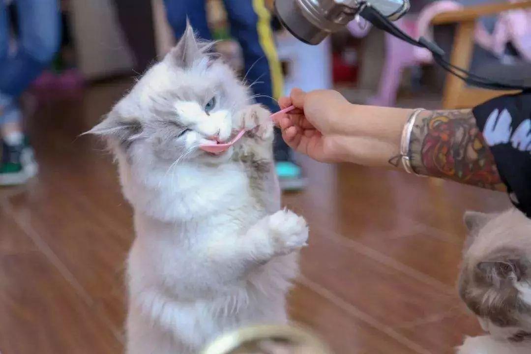 绍兴二手车价格差异大？新手必看的5个省钱避坑指南