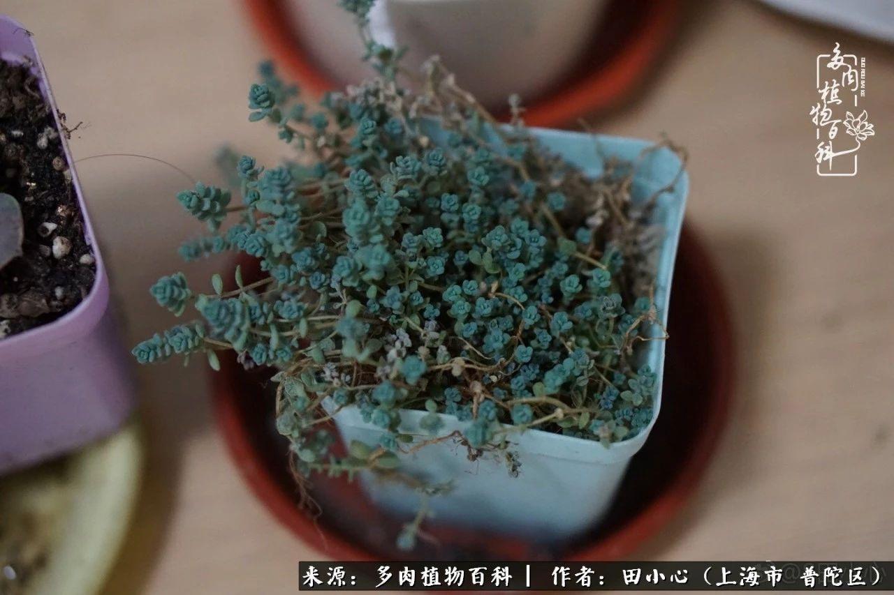 2014年3月1日那个版本更新,新手现在入坑还来得及吗? 2014年3月1日那个版本更新,新手现在入坑还来得及吗?