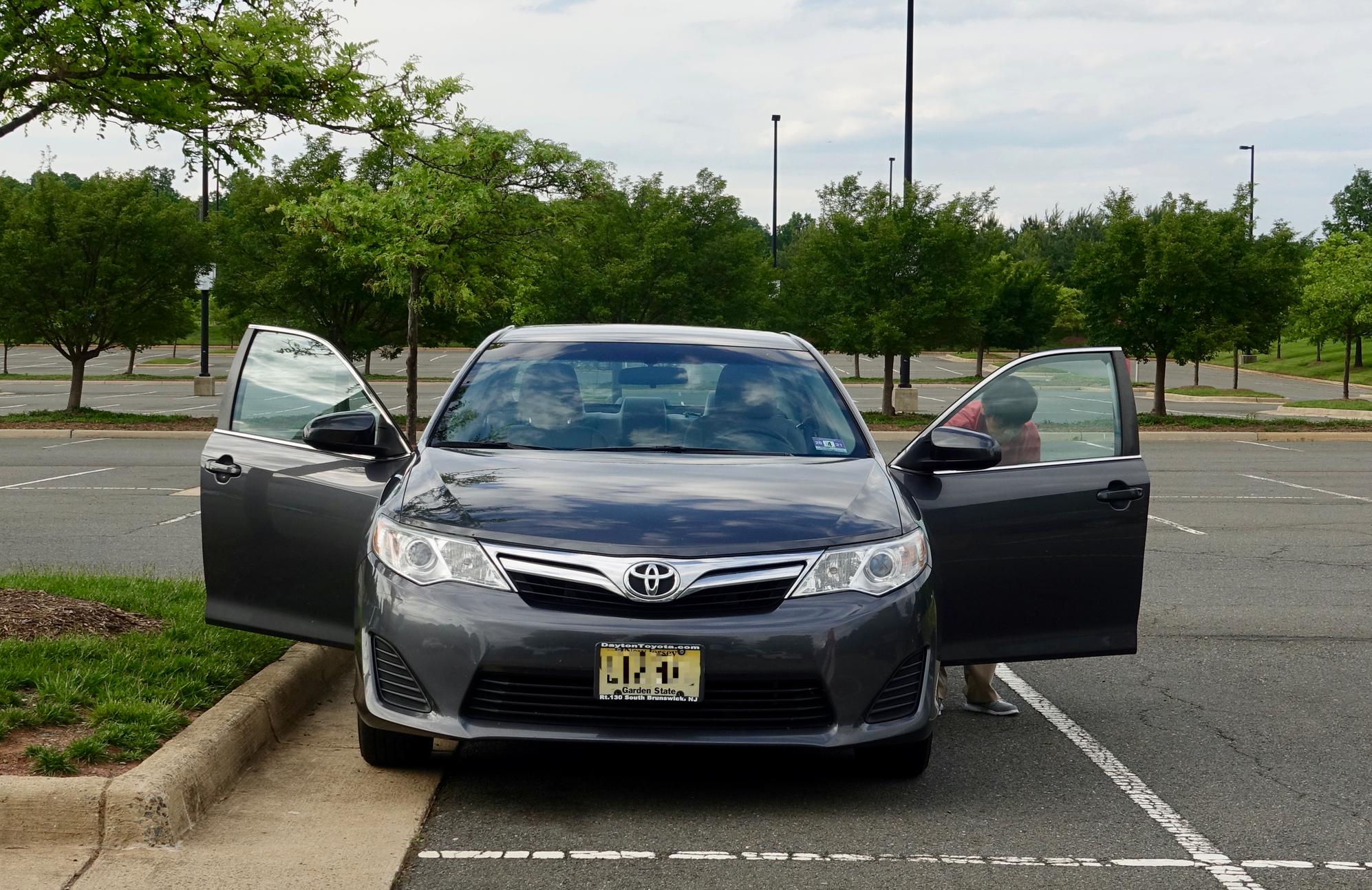 野马论坛真的能让新手小白从零开始逆袭吗？