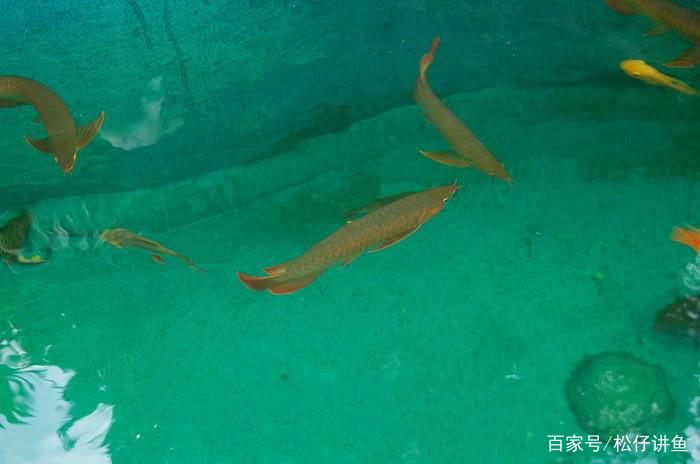 二手三菱跑车值得买吗? 二手三菱跑车值得买吗?