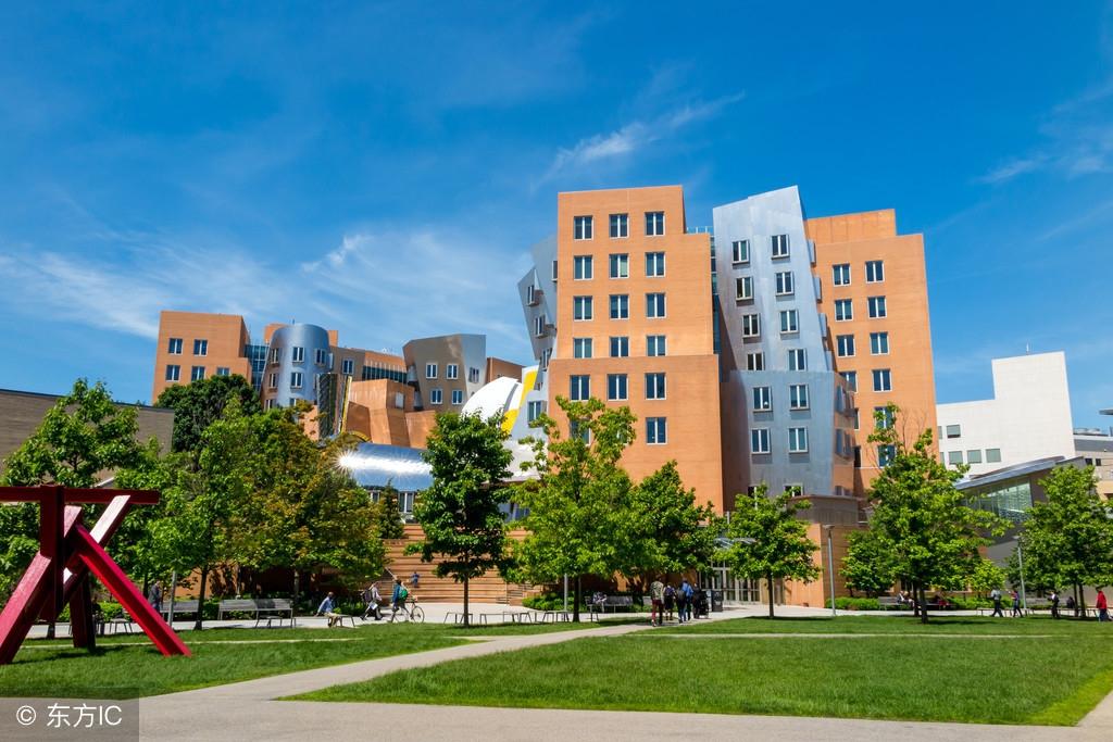 北美华人论坛养女儿怎么成了全民焦虑? 北美华人论坛养女儿怎么成了全民焦虑?