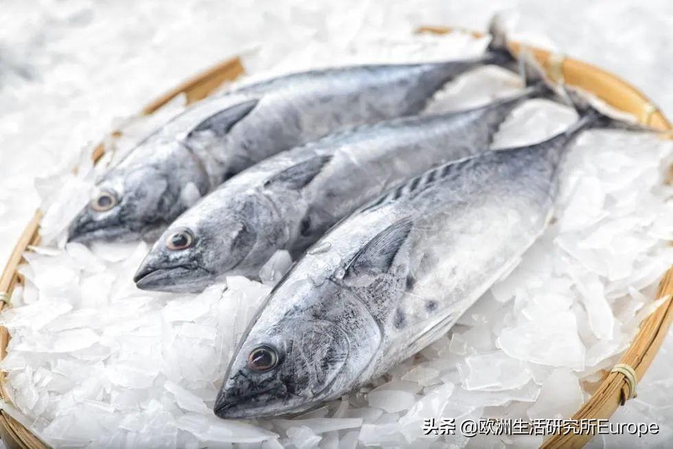 在西班牙生活不会找中国超市？华人论坛能救你命吗？