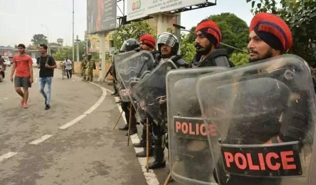 你家的小猫咪到底啥时候才算成年？