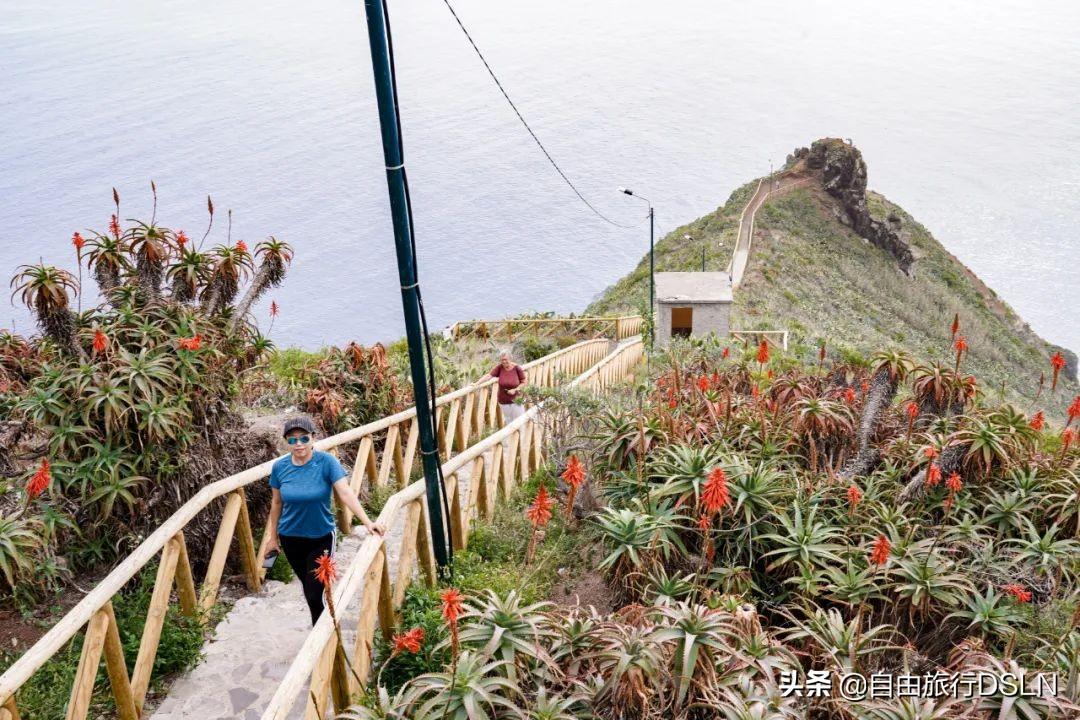 公司律师在现代企业运营中的重要作用及业务把关要点