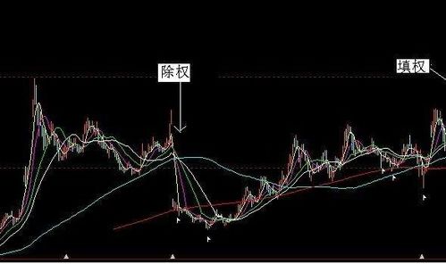 必看！股票xd开头什么意思？对股价影响全解析