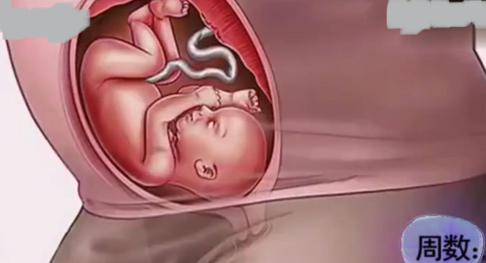 梦见胎儿在肚子里动还说话的7大预兆解析：健康、财运、情感全指南