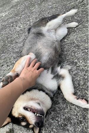 你家猫主子晒太阳会不会晒过头？