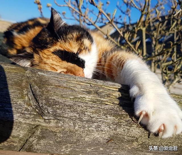 阴历十月一为什么要烧纸衣? 阴历十月一为什么要烧纸衣?