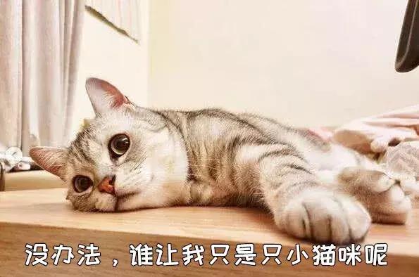 现在入手2012款新速腾能省多少钱? 现在入手2012款新速腾能省多少钱?