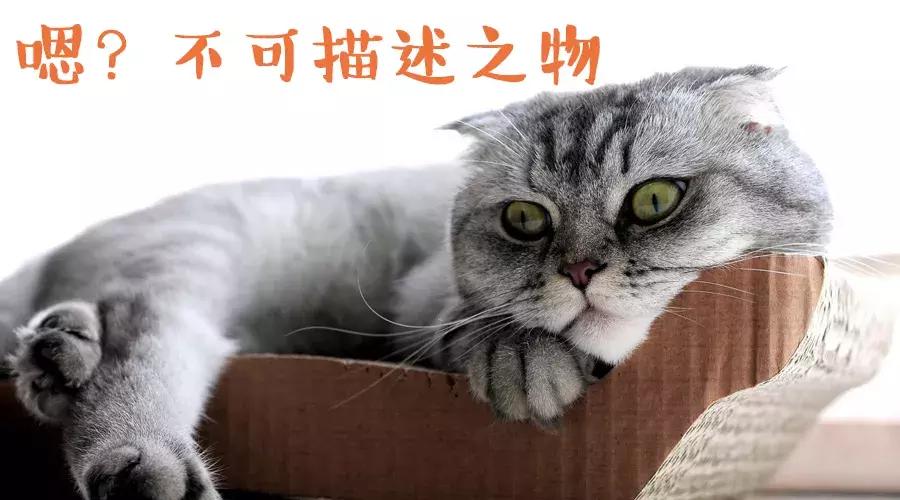 老黄历选日子真的能改运吗？