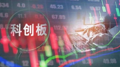 科创板的股票怎么交易_新手交易科创板股票有哪些要求？