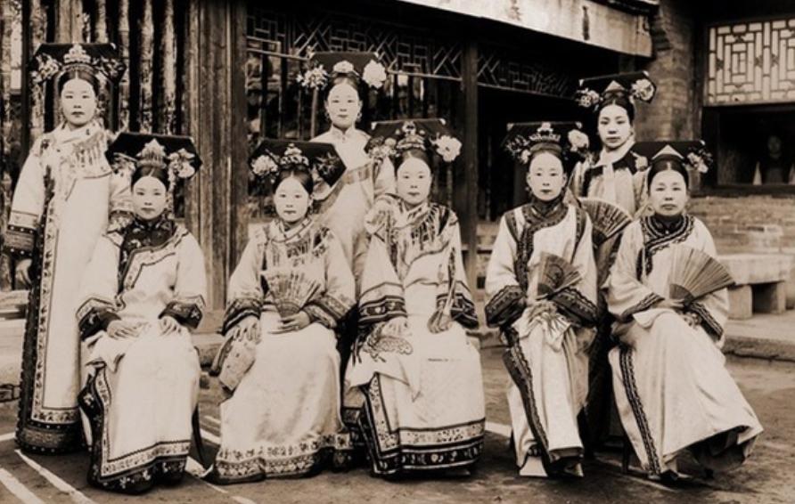 为什么我家猫主子总把我当仆人？