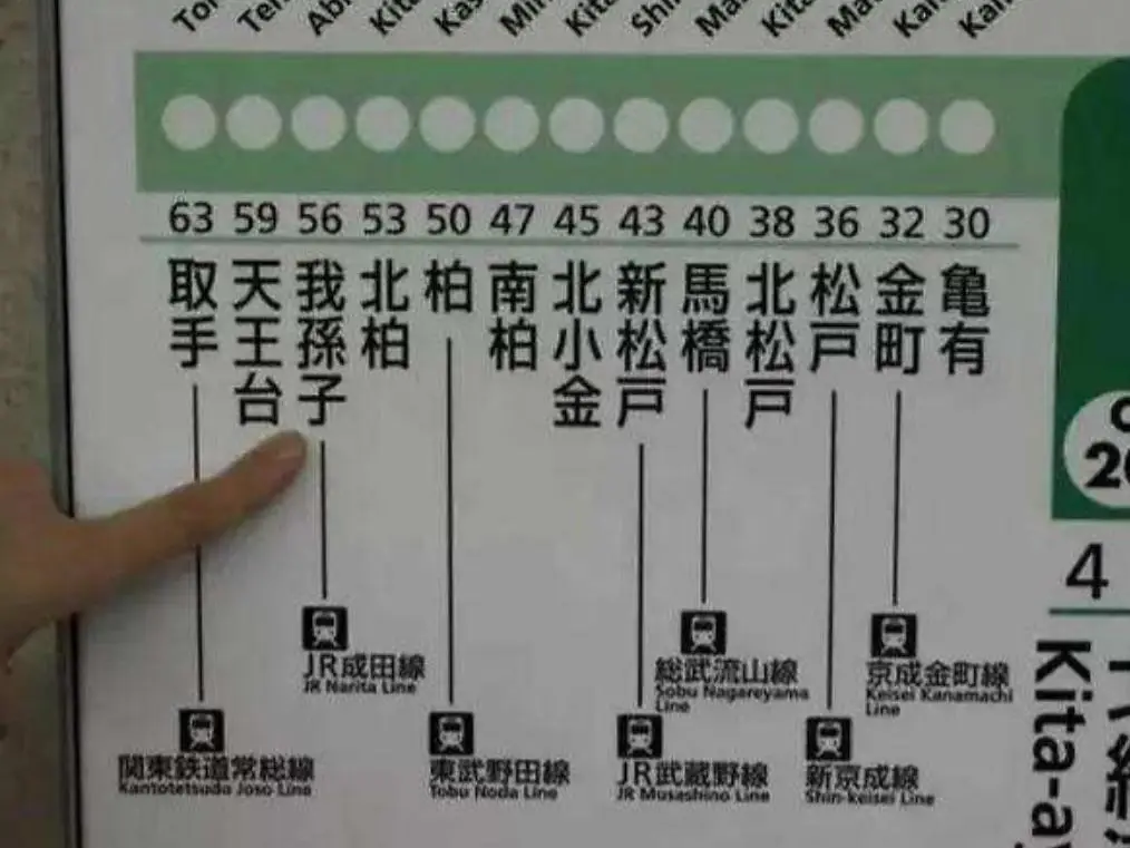 姓氏文化历史_日本姓氏特点_日本的华裔姓氏有哪些