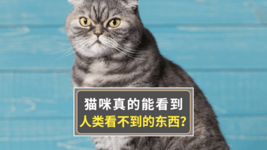 民事律师工作内容及职业前景介绍，关乎你的权益