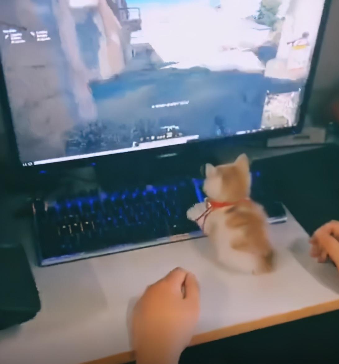 新手如何在策略华人论坛快速找到赚钱门路？