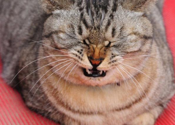 宝威真的是新手小白逆袭的万能钥匙吗？