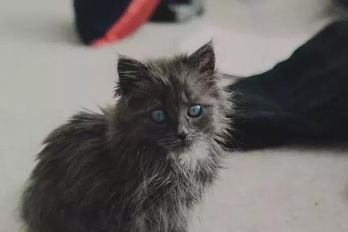 你的骨头有多重？五两二钱女命到底啥意思？