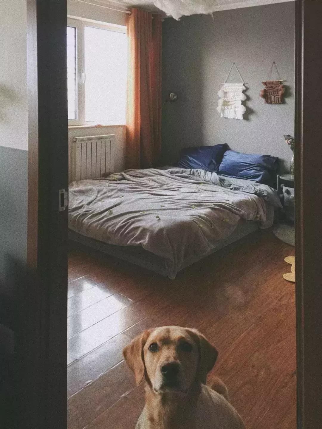 为什么老祖宗说床头不能朝西？