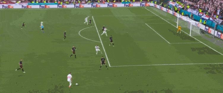 你家猫咪有 国际身份证 吗？