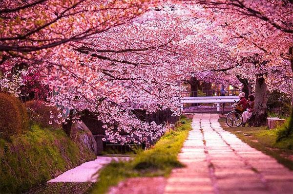 华人论坛新足迹到底该怎么玩转？