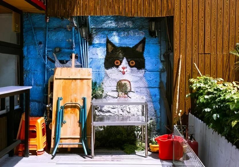 你家小猫到底要养几个月才能 毕业 ？