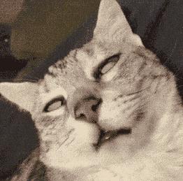 梦见自己变胖变丑预示什么？解梦师拆解3大心理密码