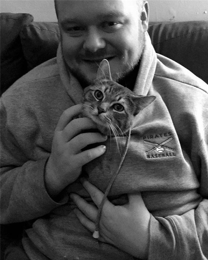 猫咪生宝宝前会有哪些反常举动？