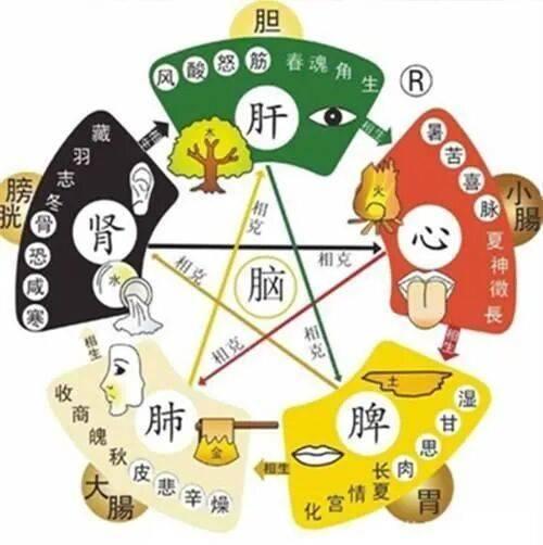 零基础学算命该从哪本书啃起? 零基础学算命该从哪本书啃起?