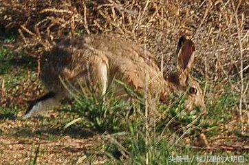 Baccarat Marie Hélène de Taillac: Kolaborasi Kreatif Antara Kristal dan Perhiasan