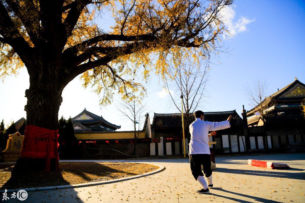 1999年出生的你,真的知道自己属什么吗? 1999年出生的你,真的知道自己属什么吗?