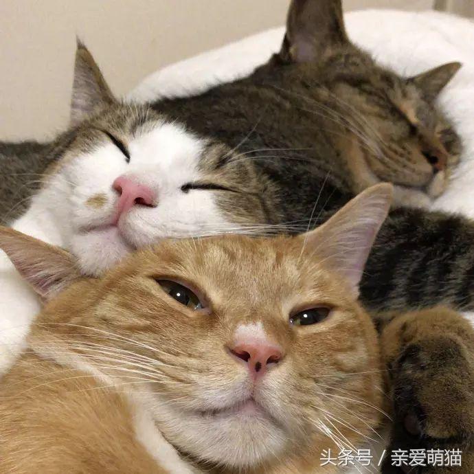 良辰佳丽app提现不了怎么办-平台充值无法提现如何追回