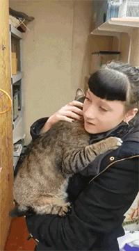 为什么别人家的情侣猫照片总能刷爆朋友圈? 为什么别人家的情侣猫照片总能刷爆朋友圈?