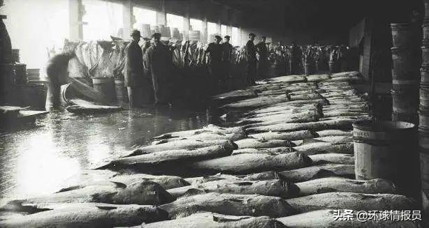 欧洲直播球赛_欧洲赛事直播平台_世外欧洲比赛直播