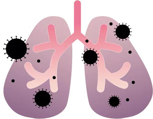 北美华人论坛小说狗到底怎么玩才不踩坑？