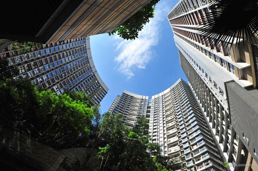 梦见自己变聪明预示什么？心理学拆解3大真相与转运秘法